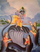 kaliya naga mardan