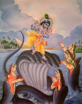 kaliya naga mardan