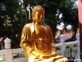 Lord-Buddha